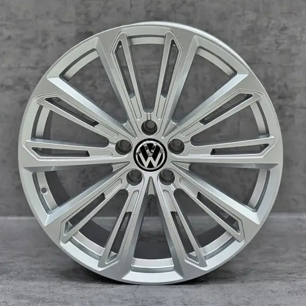 Volkswagen VW 19 Verona — slika 1